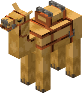 camel